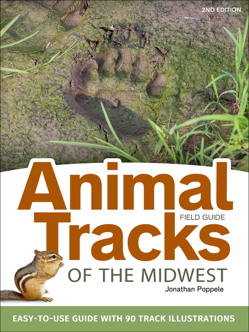 Cover image for Animal Tracks of the Midwest Field Guide